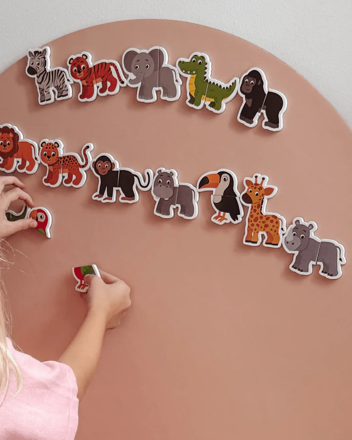 Jungle Heads and Tails Magnet Kit