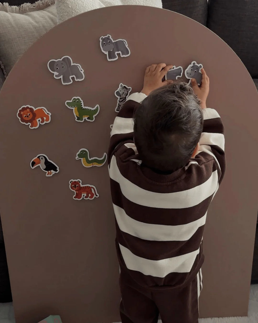 Jungle Heads and Tails Magnet Kit