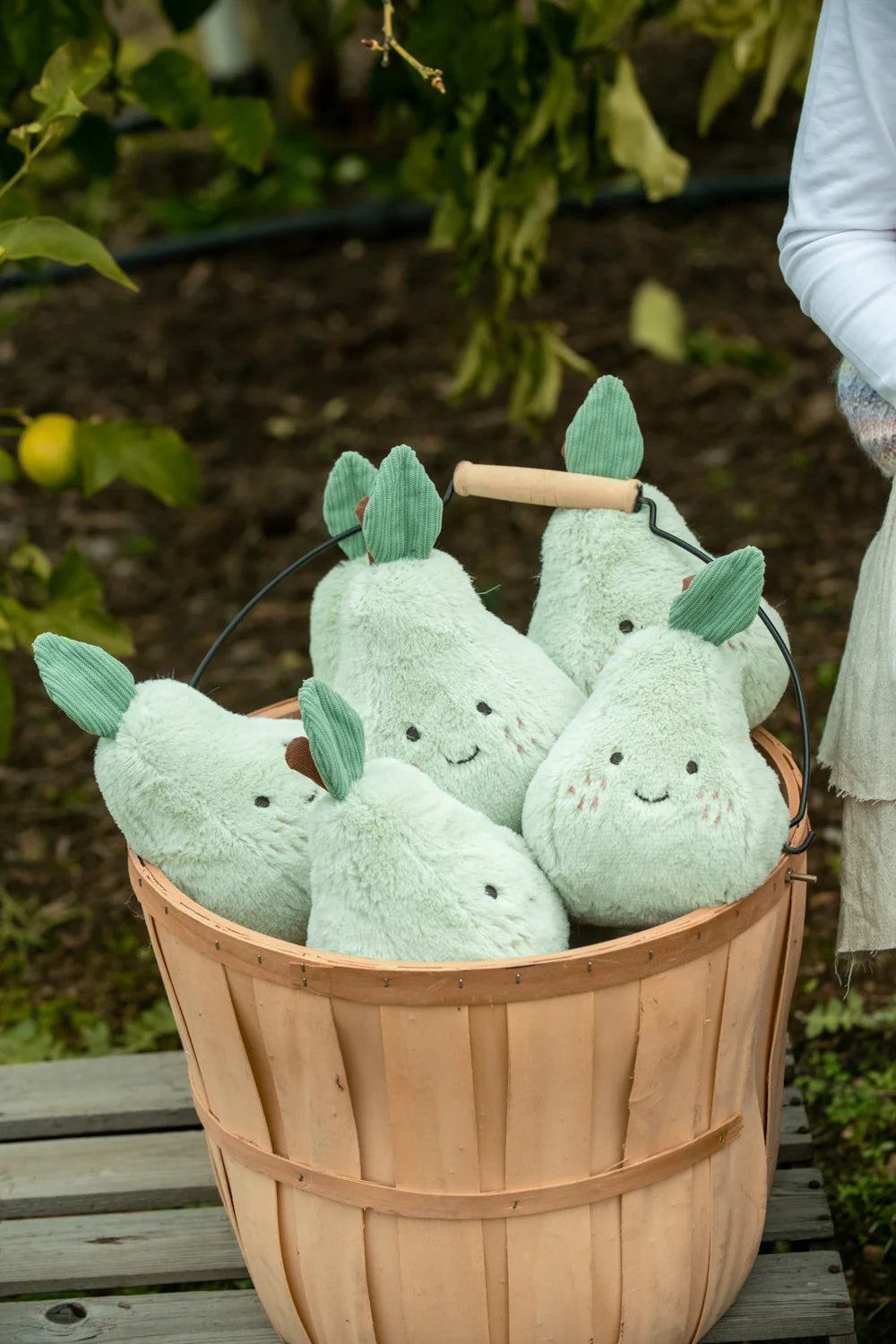 Polly Pear - The Positive Friend