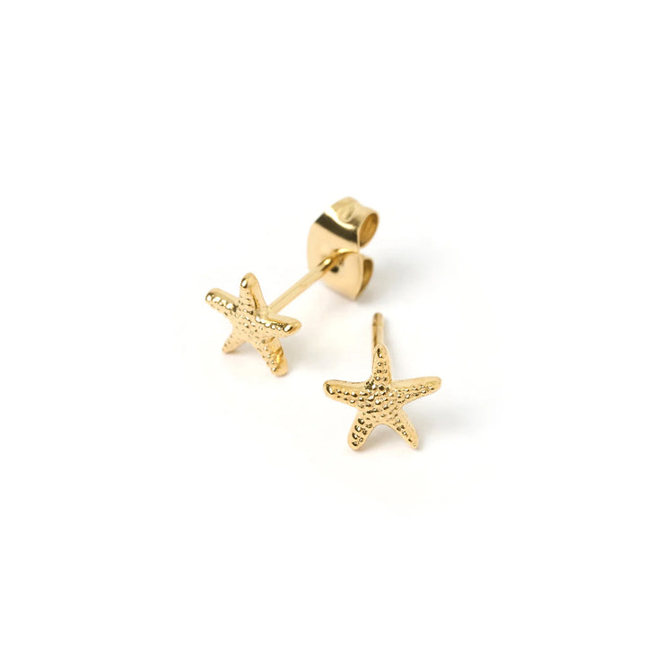 Starfish Gold Studs