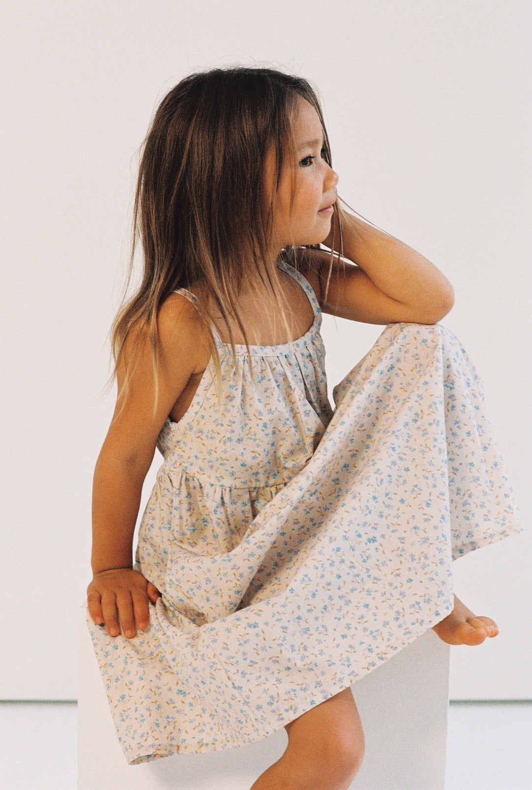 Darcy Dress - Indigo Bloom