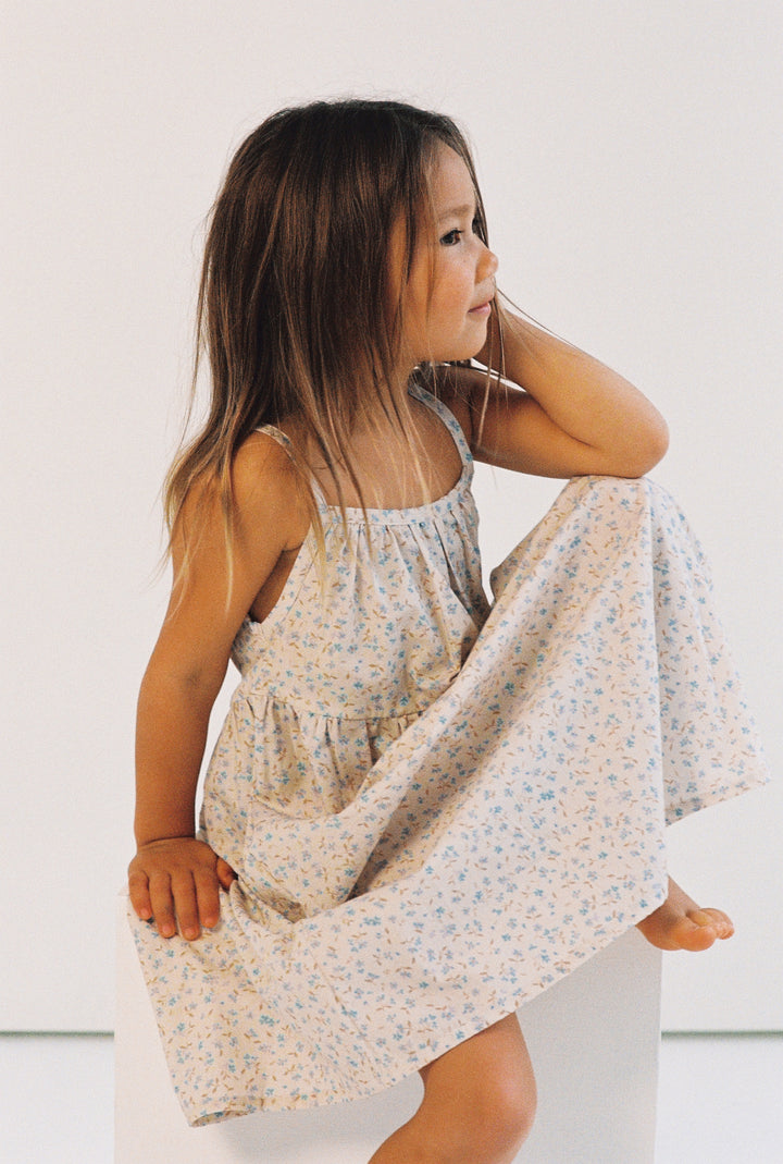 Darcy Dress - Indigo Bloom