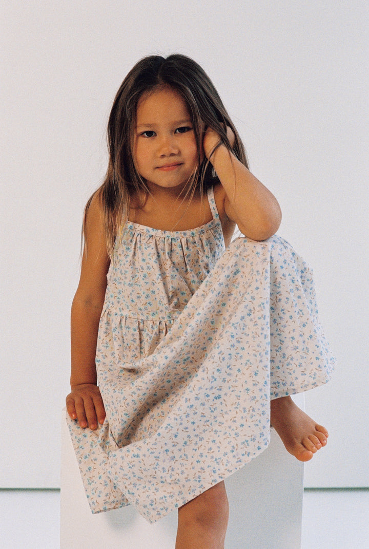 Darcy Dress - Indigo Bloom